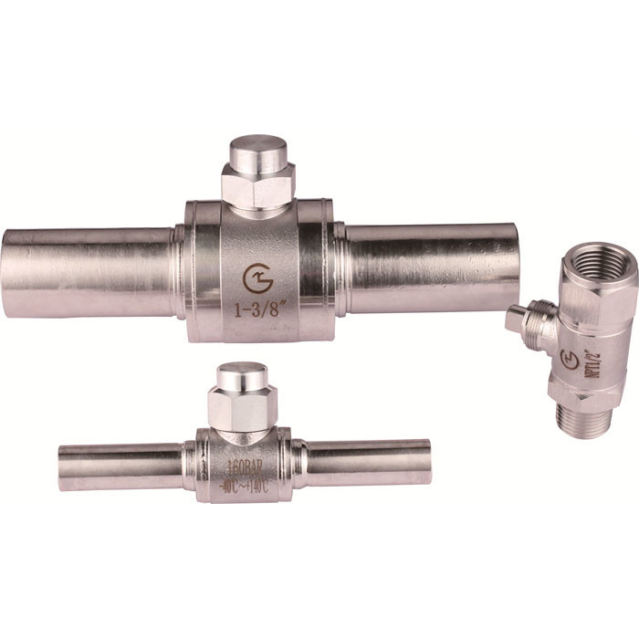Vollständige Edelstahl-Kühlsystem CO2-Regulator abgeschaltet VentilDN4  DN40 0 16.0 MPa